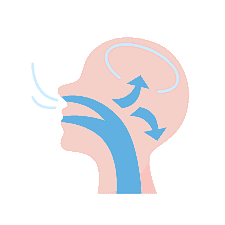 In this illustration of air flow in the human respiratory system in Kingwood TX, blue arrows show air entering through the mouth and moving towards the brain, highlighting mouth breathing.