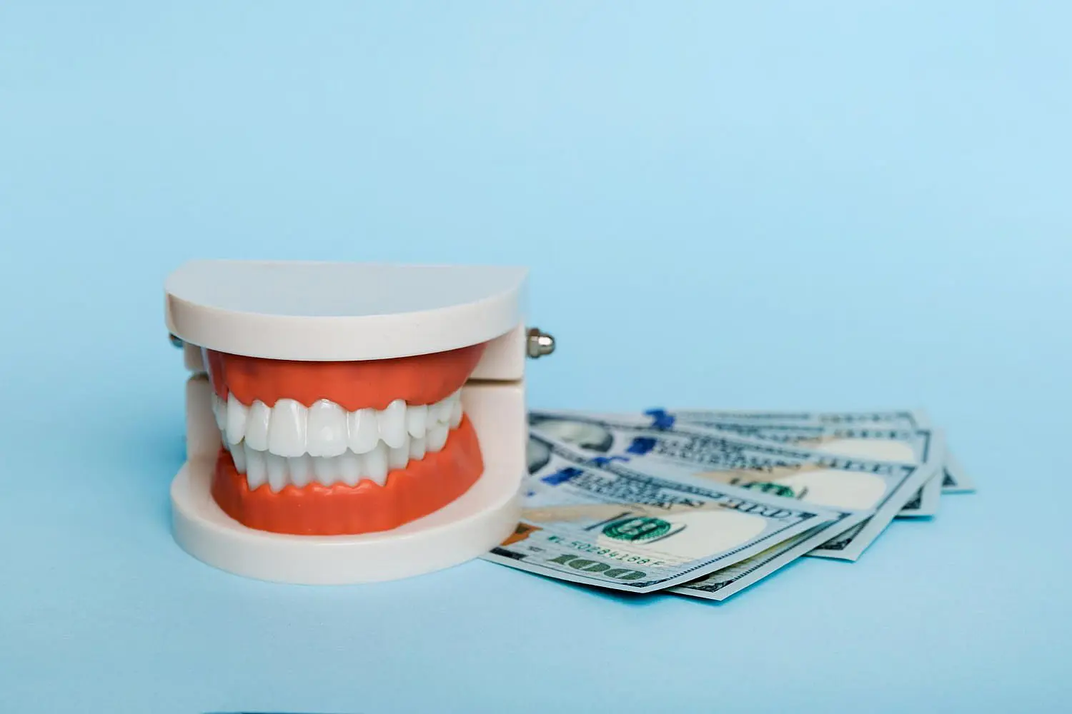 Beside several U.S. hundred-dollar bills on a light blue background, a dental model with teeth highlights the cost and insurance factors of clear braces in Kingwood TX.